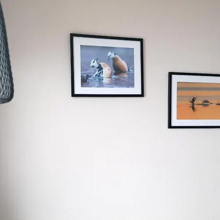 Magic Mountain - Lyngen אכסניה