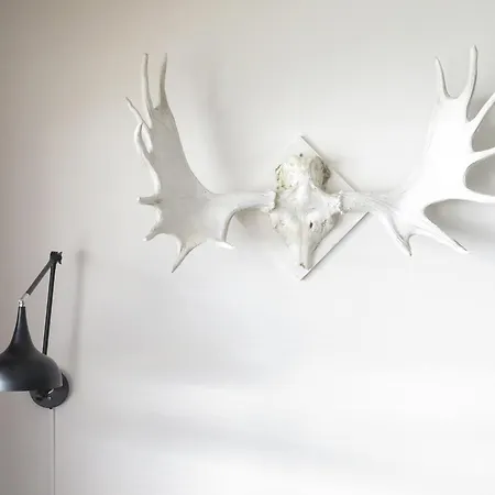 Magic Mountain - Lyngen Lyngseidet