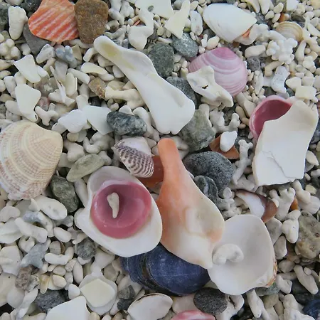 Magic Mountain - Lyngen Lyngseidet