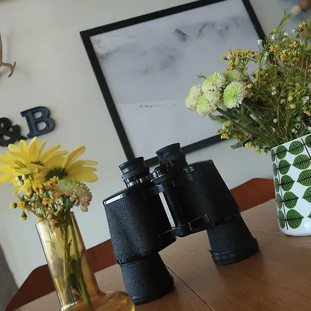 Magic Mountain - Lyngen * Lyngseidet