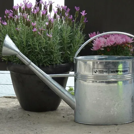 אכסניה Magic Mountain - Lyngen Lyngseidet