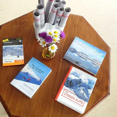 Domek letniskowy Magic Mountain - Lyngen *