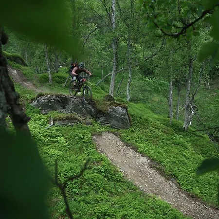 Magic Mountain - Lyngen * Lyngseidet