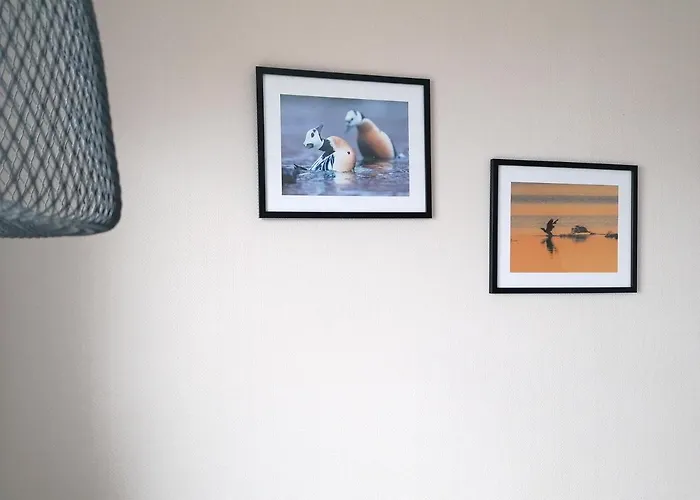 Magic Mountain - Lyngen Lodge