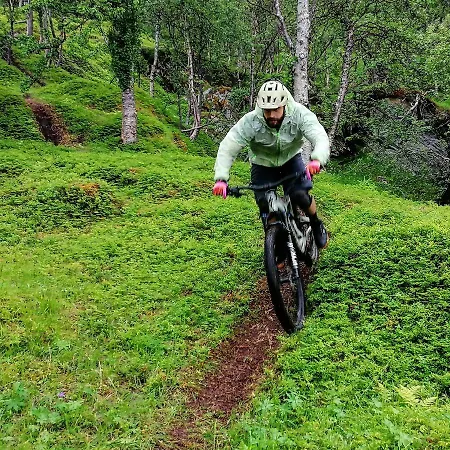 Magic Mountain - Lyngen Lodge Lyngseidet